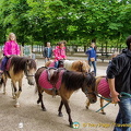 Horse-riding tours for kids